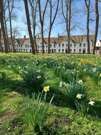 Bruges Beguinage Easter